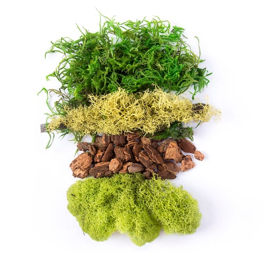 SuperMoss® Preserved Mixed Moss